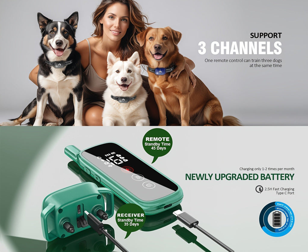 Dog Training Collar Green Remote Set with 730-Meter Range, Three Cue Modes and Two- or Three-Receiver Options
