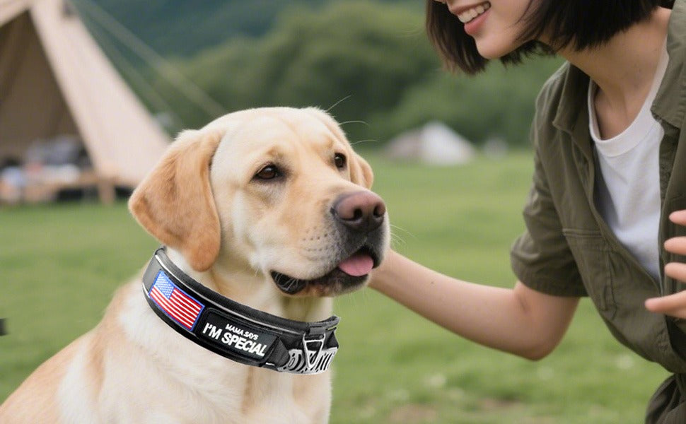 Wide Tactical Dog Collar with Padded Grab Handle, Reflective Stitching, Two Patches and M–XL Sizing