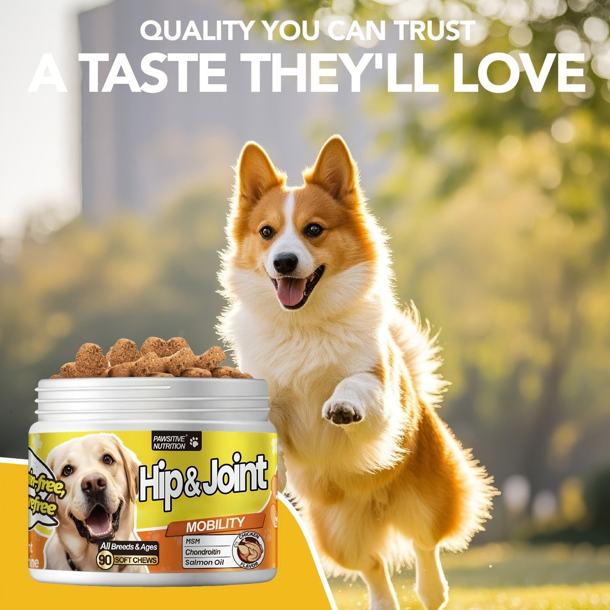 Dog Hip and Joint Soft Chews with Glucosamine, Chondroitin, MSM and Salmon Oil, 90 Count per Bottle