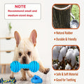 Puppy Toys Set – Assorted Teething & Play Bundle for Small Dogs with Chew Toys, Rope Toys, Treat Balls & Squeaky Toys
