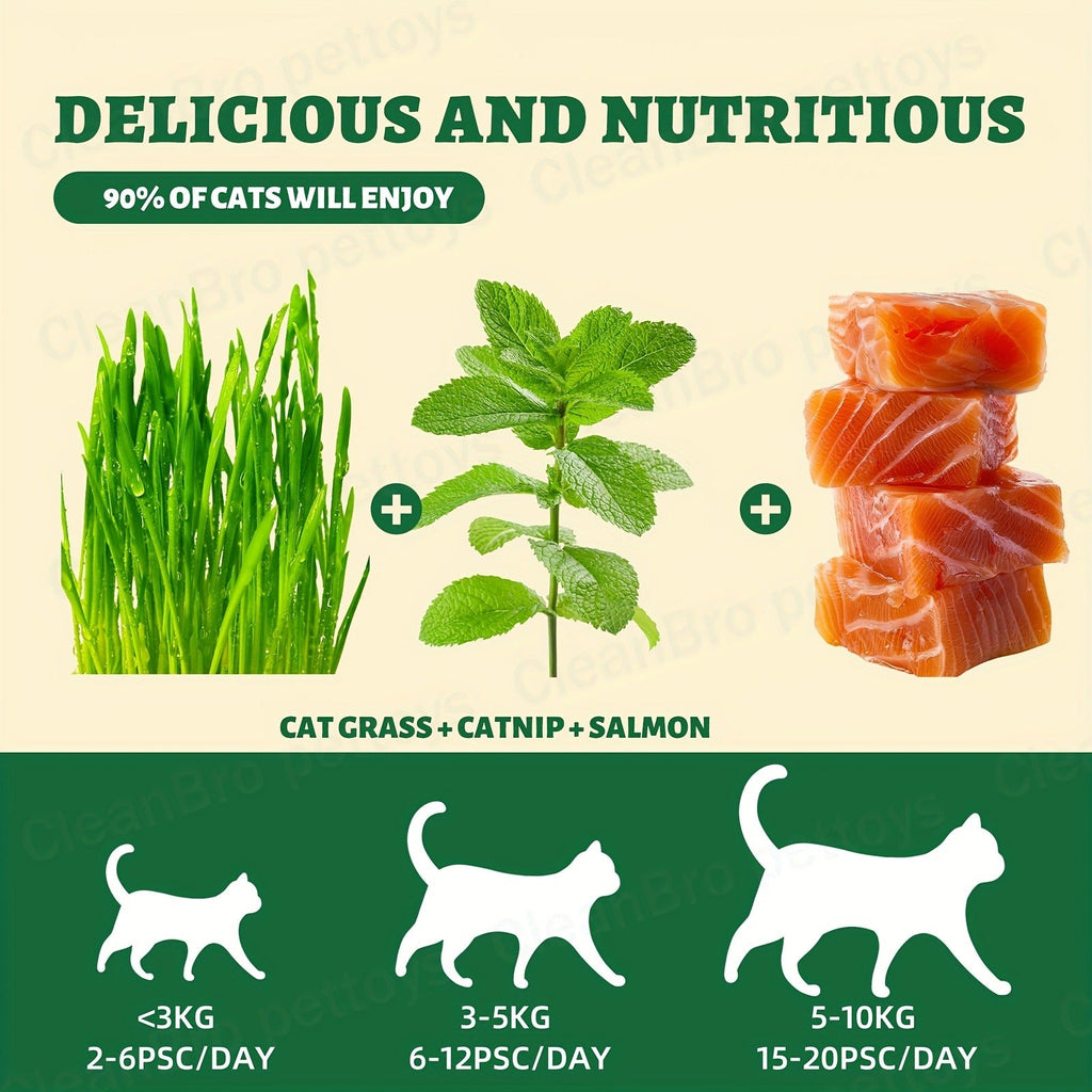 Catnip Cat Treats 150g – Catnip Cookie & Catgrass Molar Stick, Dried Fish Snack for Cats, Teeth Cleaning Dental Chew