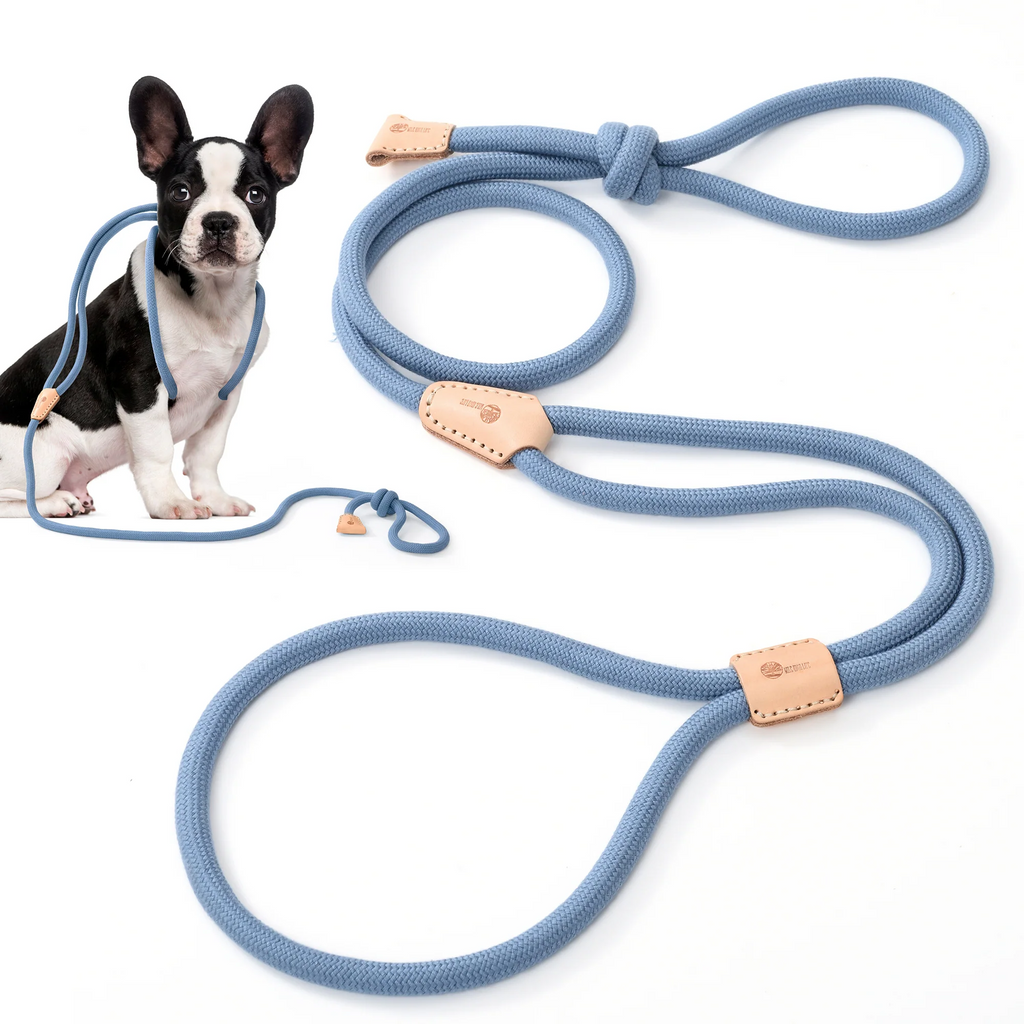 Dog Slip Leash and Harness 2-in-1 Rope Lead – No Pull All-in-One Training Leash for Puppies & Small Dogs, Adjustable Slip Lead with Soft