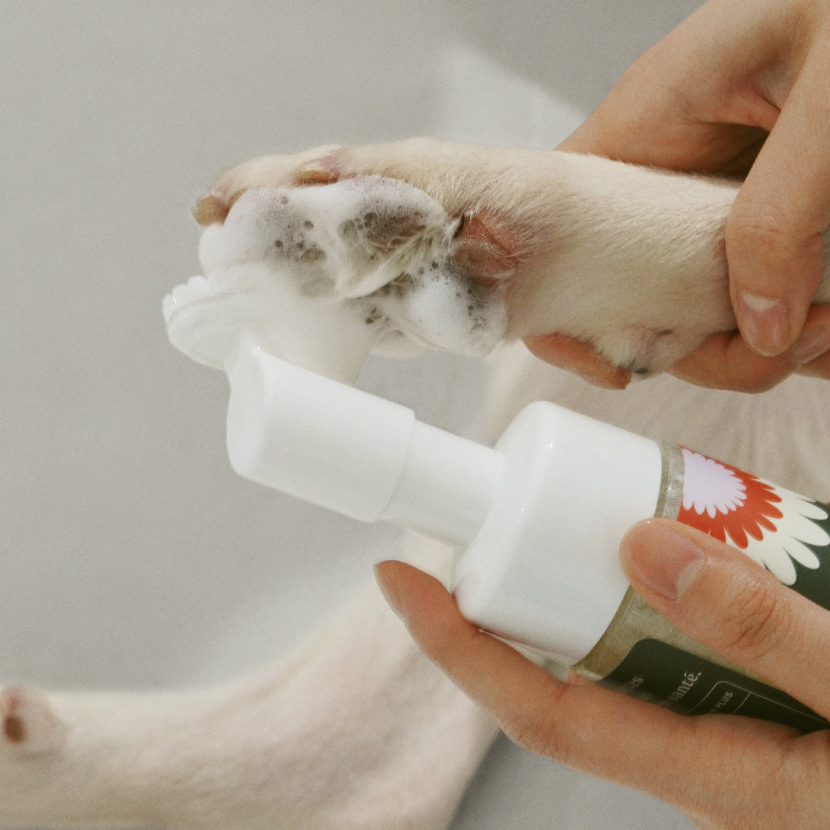 No-Rinse Dog Paw Cleanser Refill product image 3