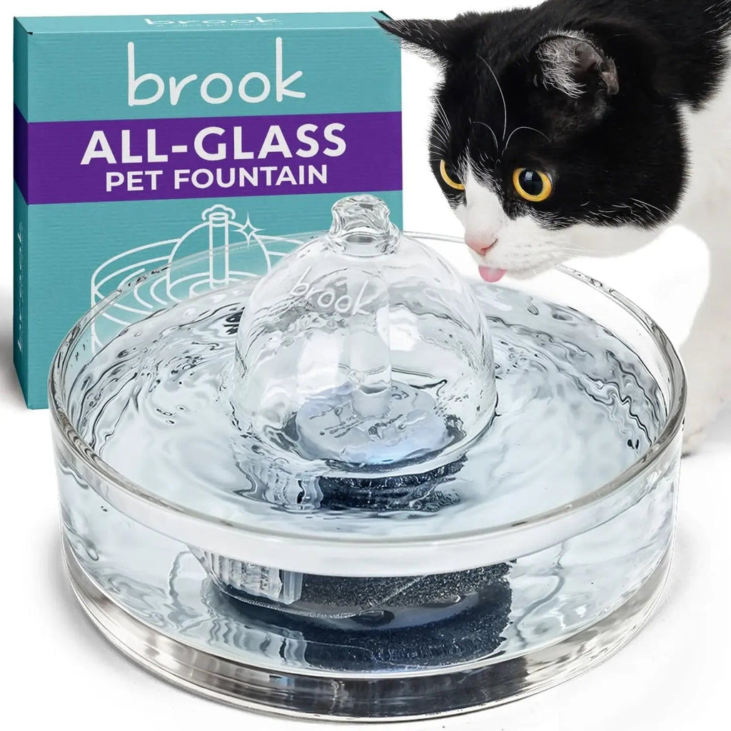 All-Glass Pet Water Fountain Default Title