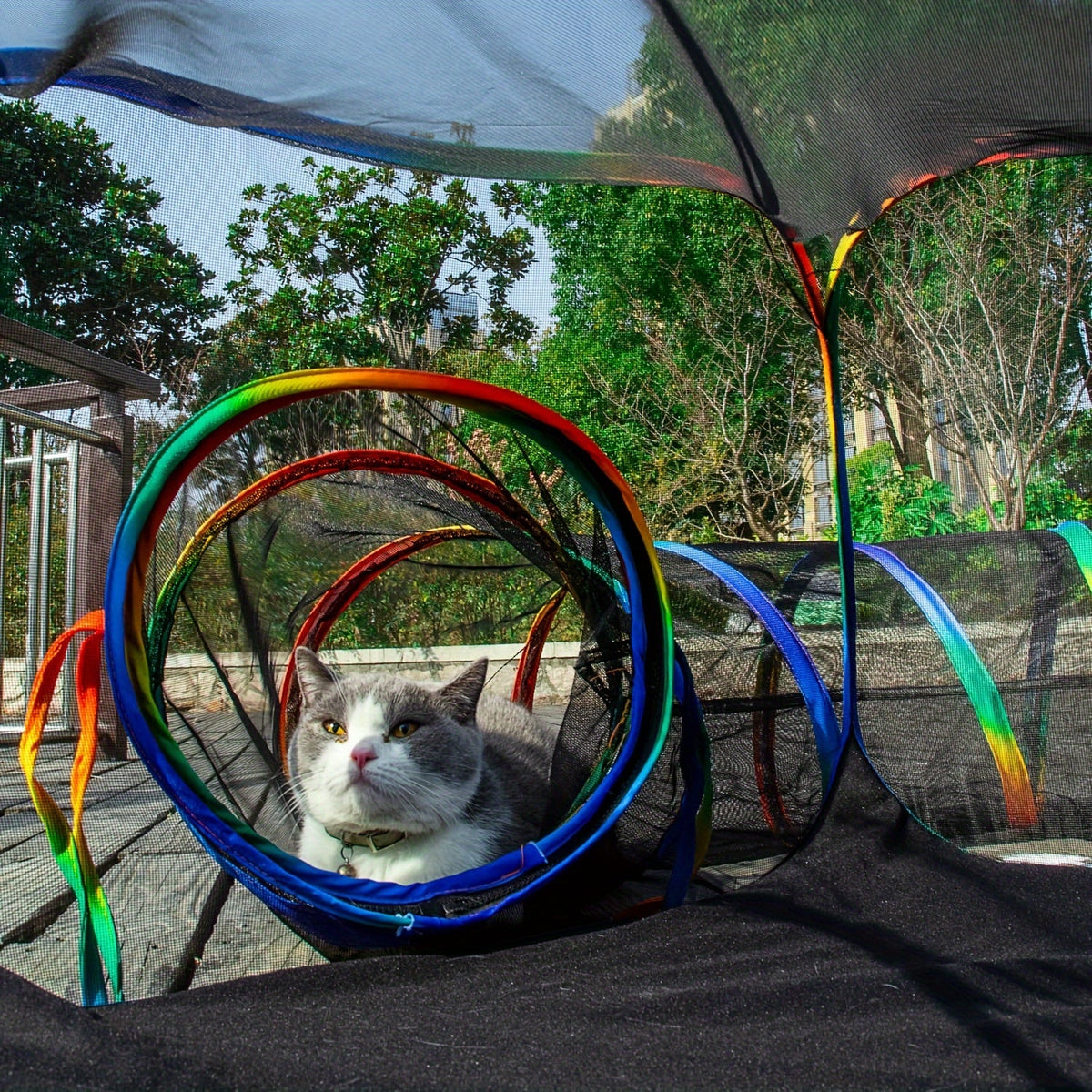 Outdoor Cat Enclosure with Play Tunnel – Portable Catio Tent & Cat Playpen for Indoor Cats, Cage-Free Outside Cat Run with Enclosed Tunnel