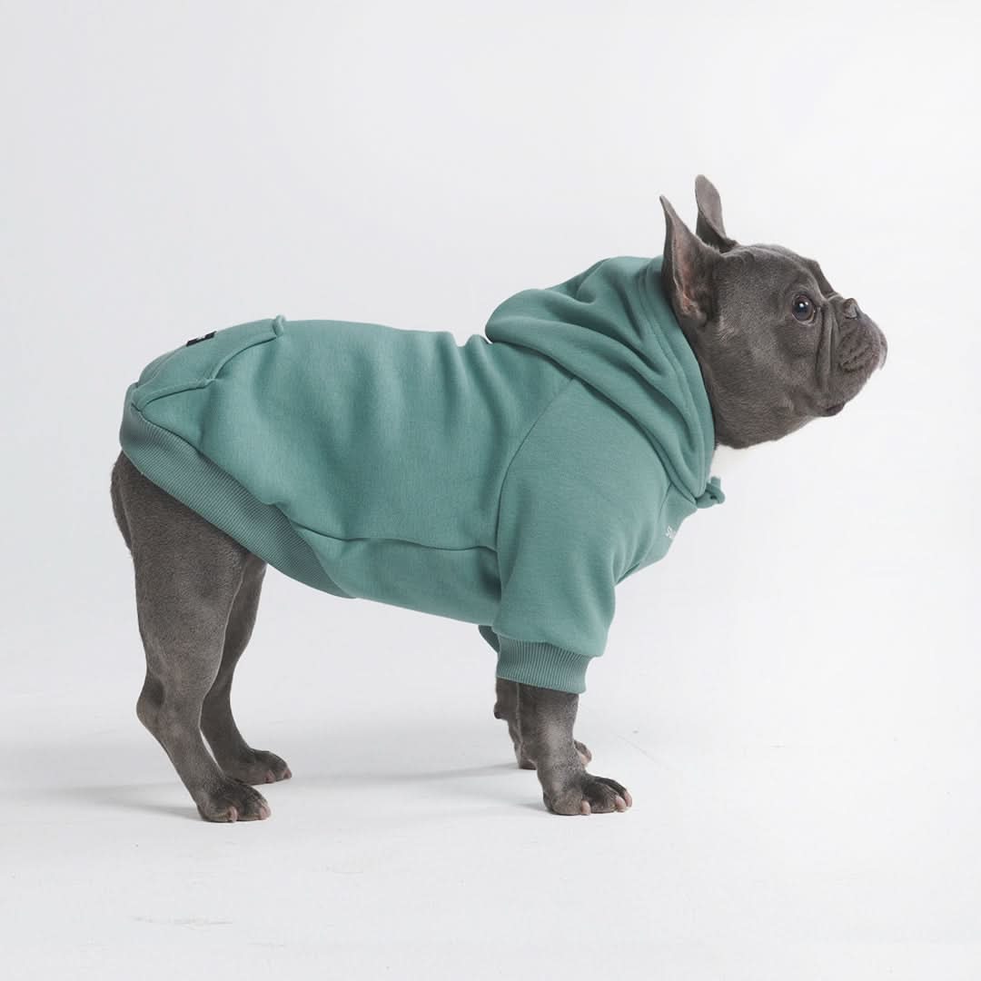 Fleece-Lined Dog Hoodie, XL