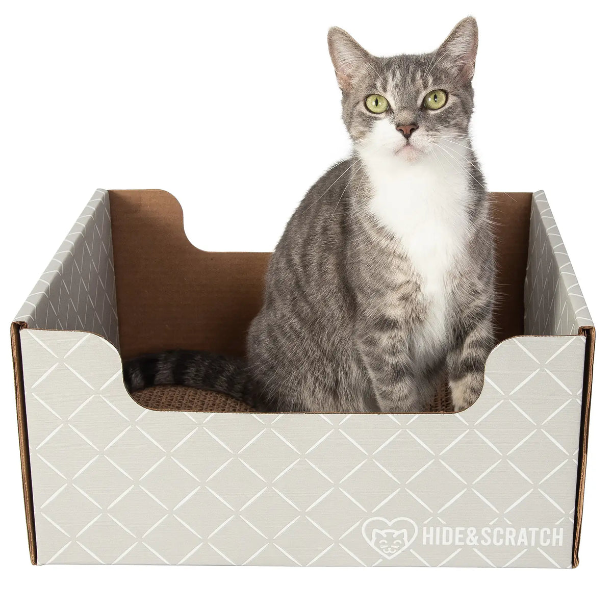 Hide & Scratch Extra-Large Cat Scratcher Box product image 9