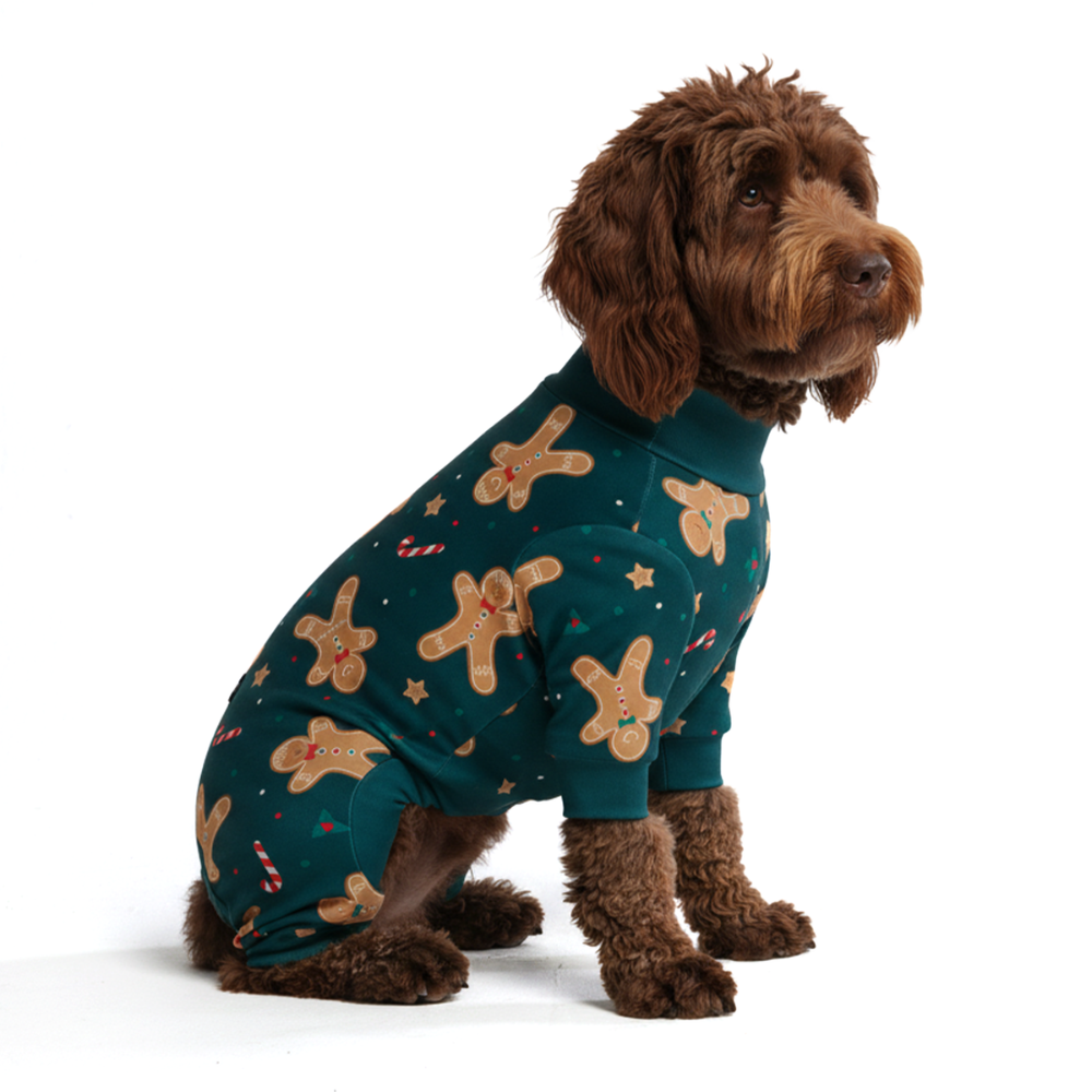 Gingerbread Christmas Pajamas for Dogs, 2XL