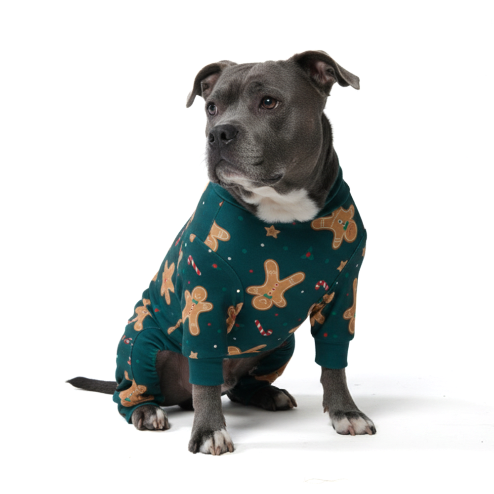 Gingerbread Christmas Pajamas for Dogs, 3XL