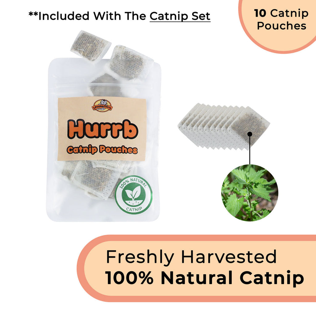 Interactive Bird Simulation Cat Toy Set product image 11
