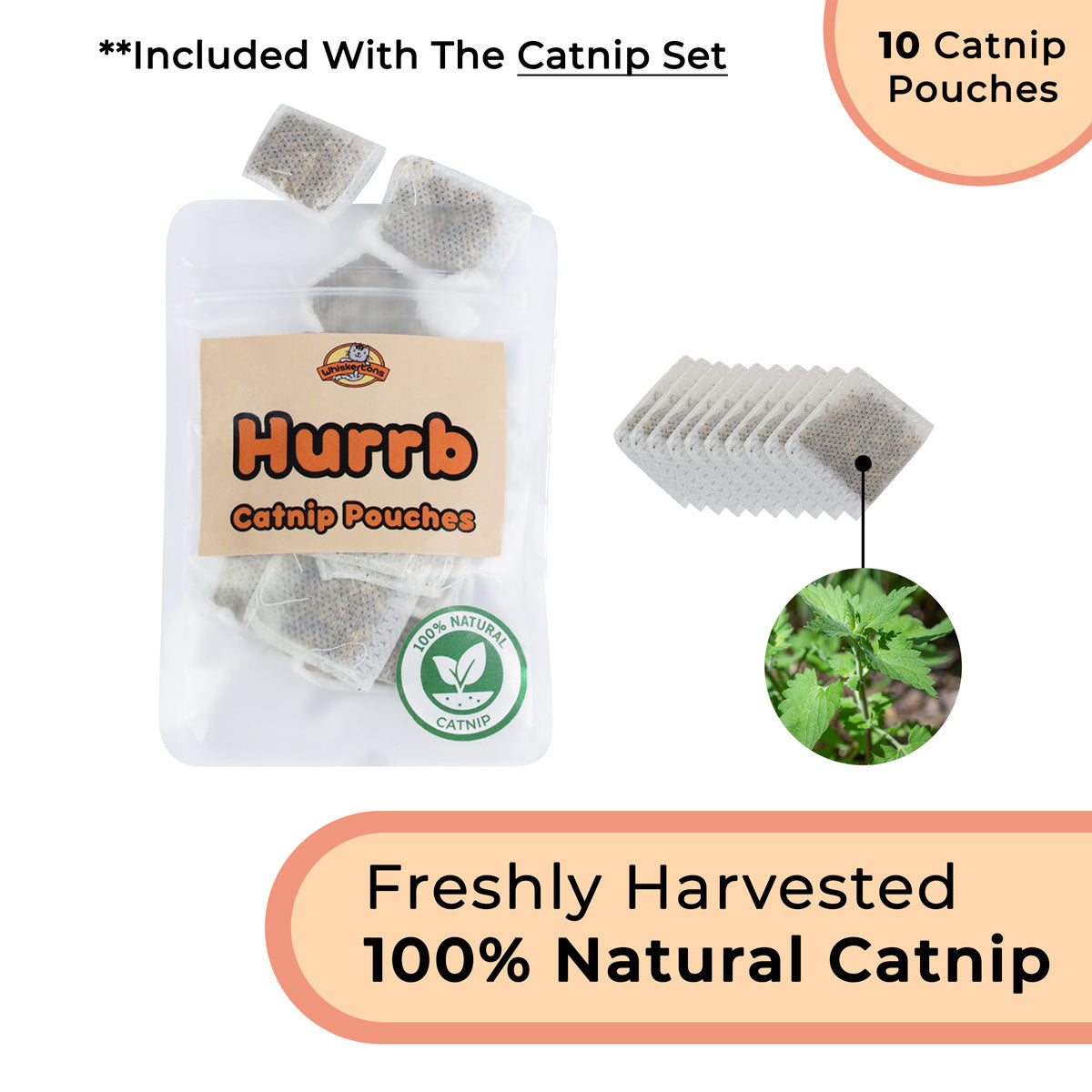 Interactive Bird Simulation Cat Toy Set product image 11