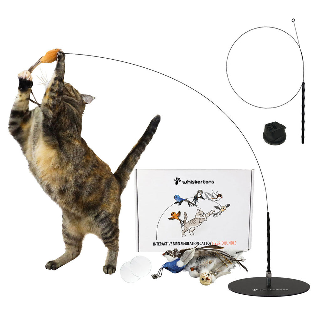 Interactive Bird Simulation Cat Toy Set product image 15