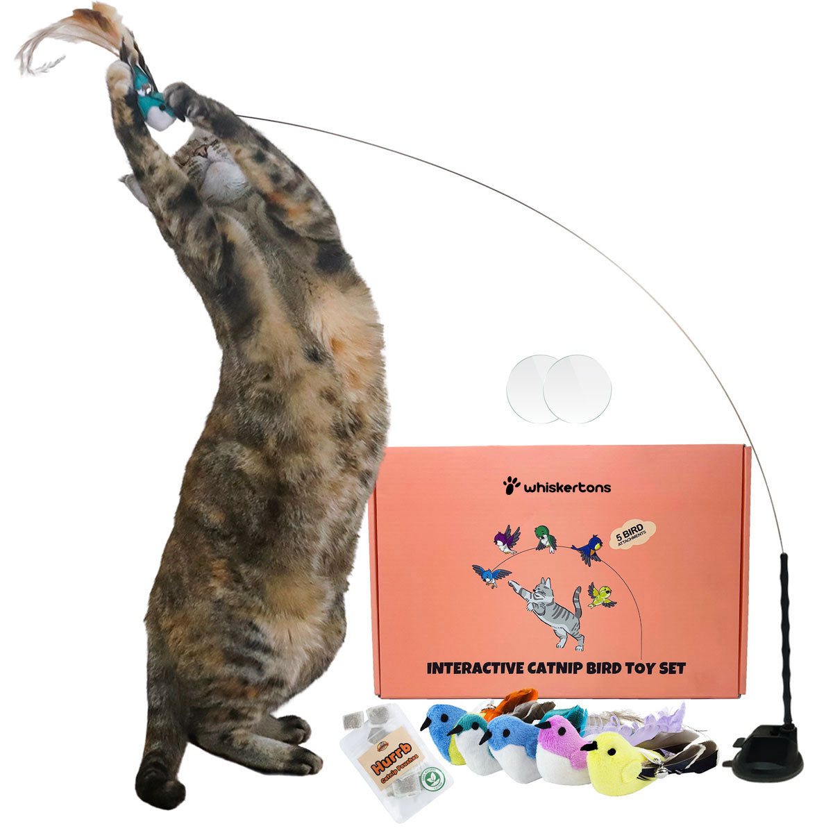 Interactive Bird Simulation Cat Toy Set, Catnip Bird