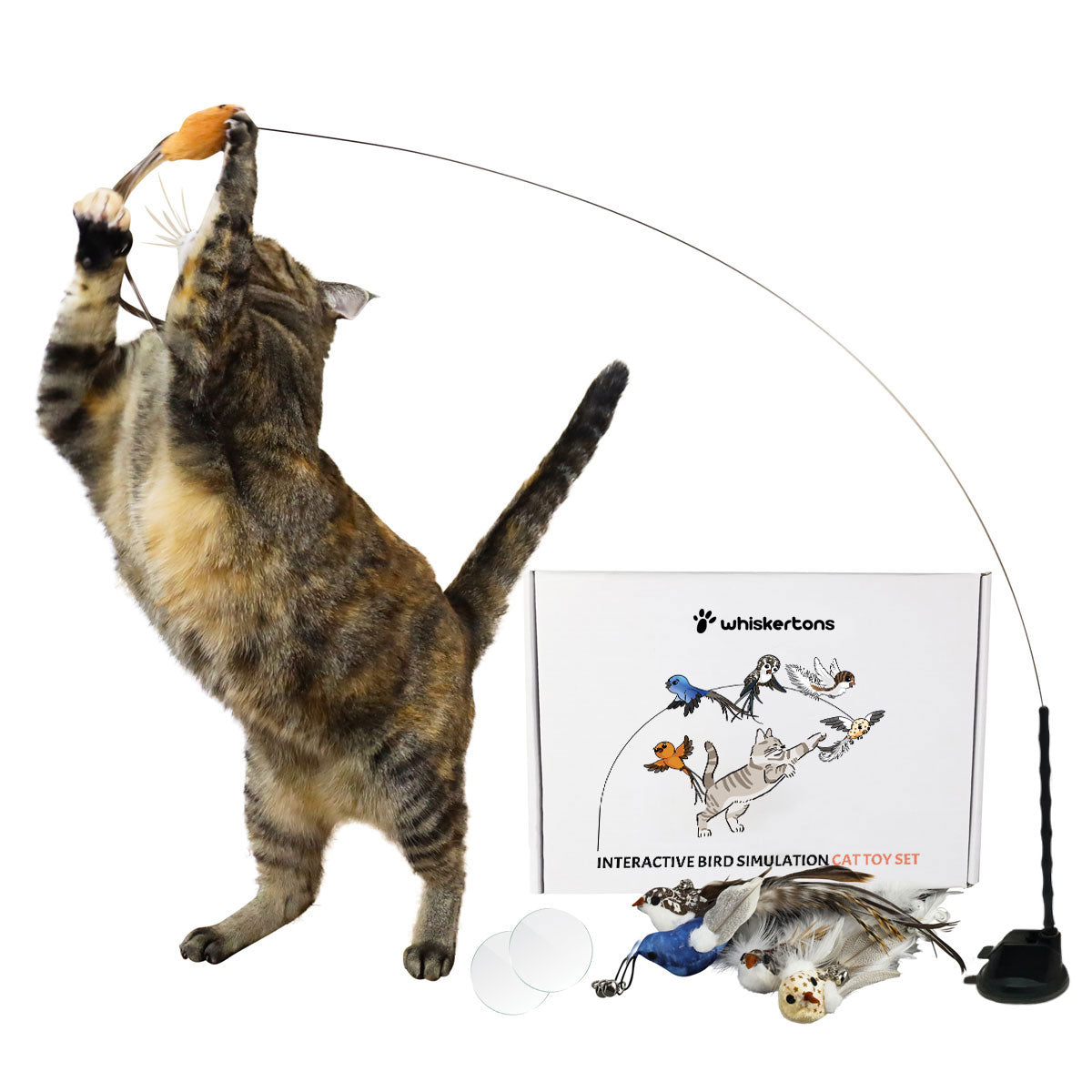Interactive Bird Simulation Cat Toy Set, Standard