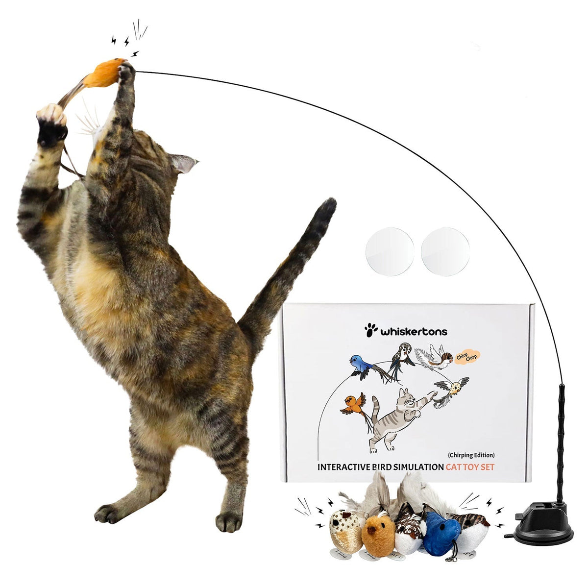 Interactive Bird Simulation Cat Toy Set, Chirping Bird