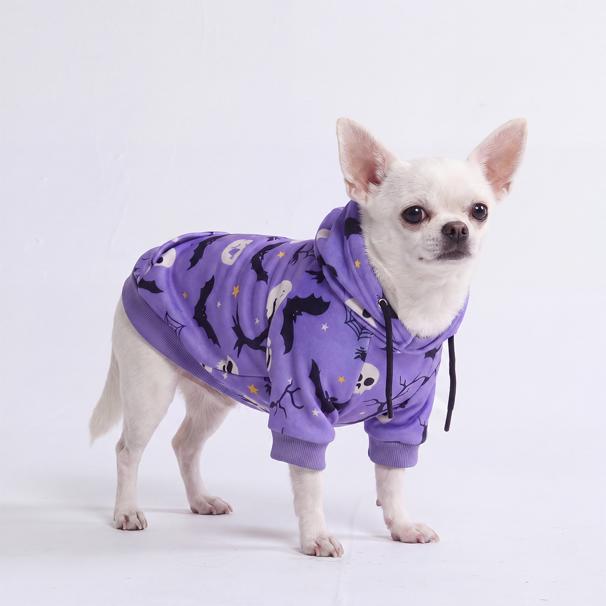 Halloween Dog Hoodie, Halloween Purple Hoodie / S