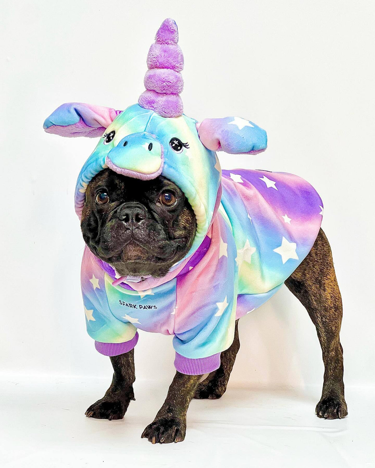 Halloween Dog Hoodie, Halloween Unicorn Hoodie / L