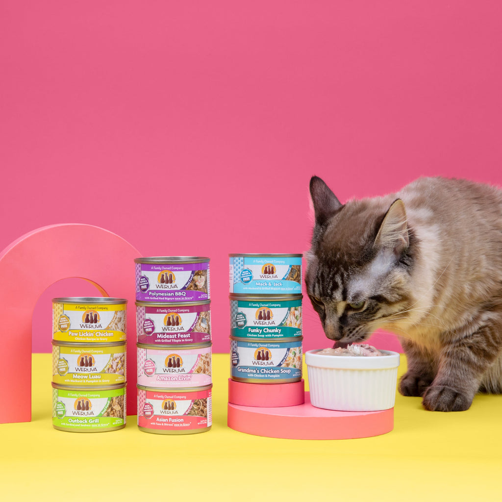 A cat eats from a white bowl next to stacks of Weruva Meow You Doin'? variety packs on a yellow surface with a pink background.