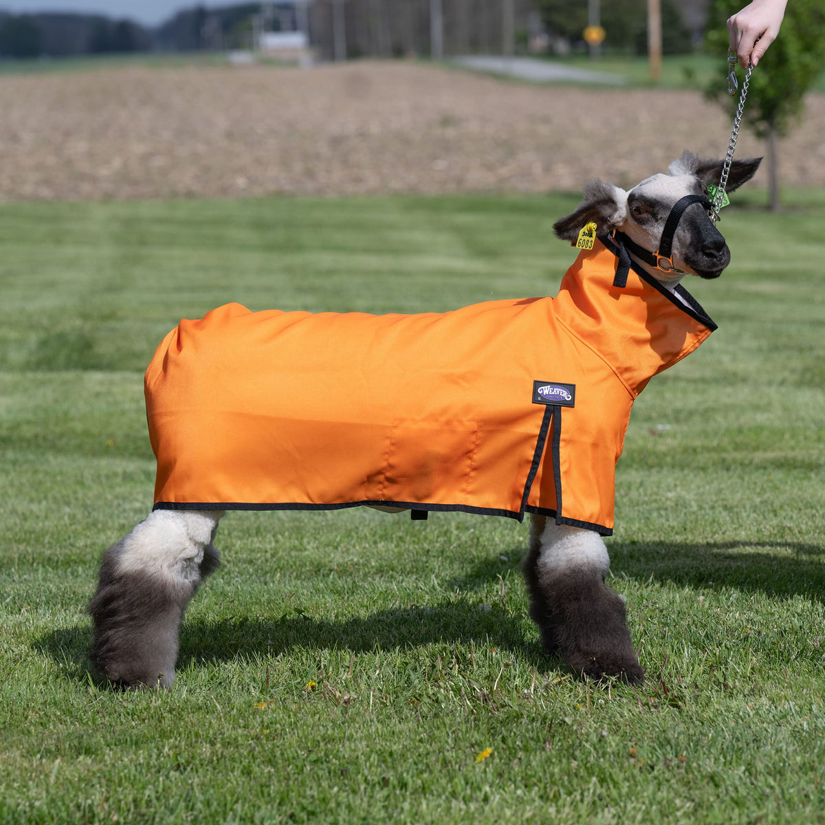 Nylon Sheep Blanket, Mesh Butt