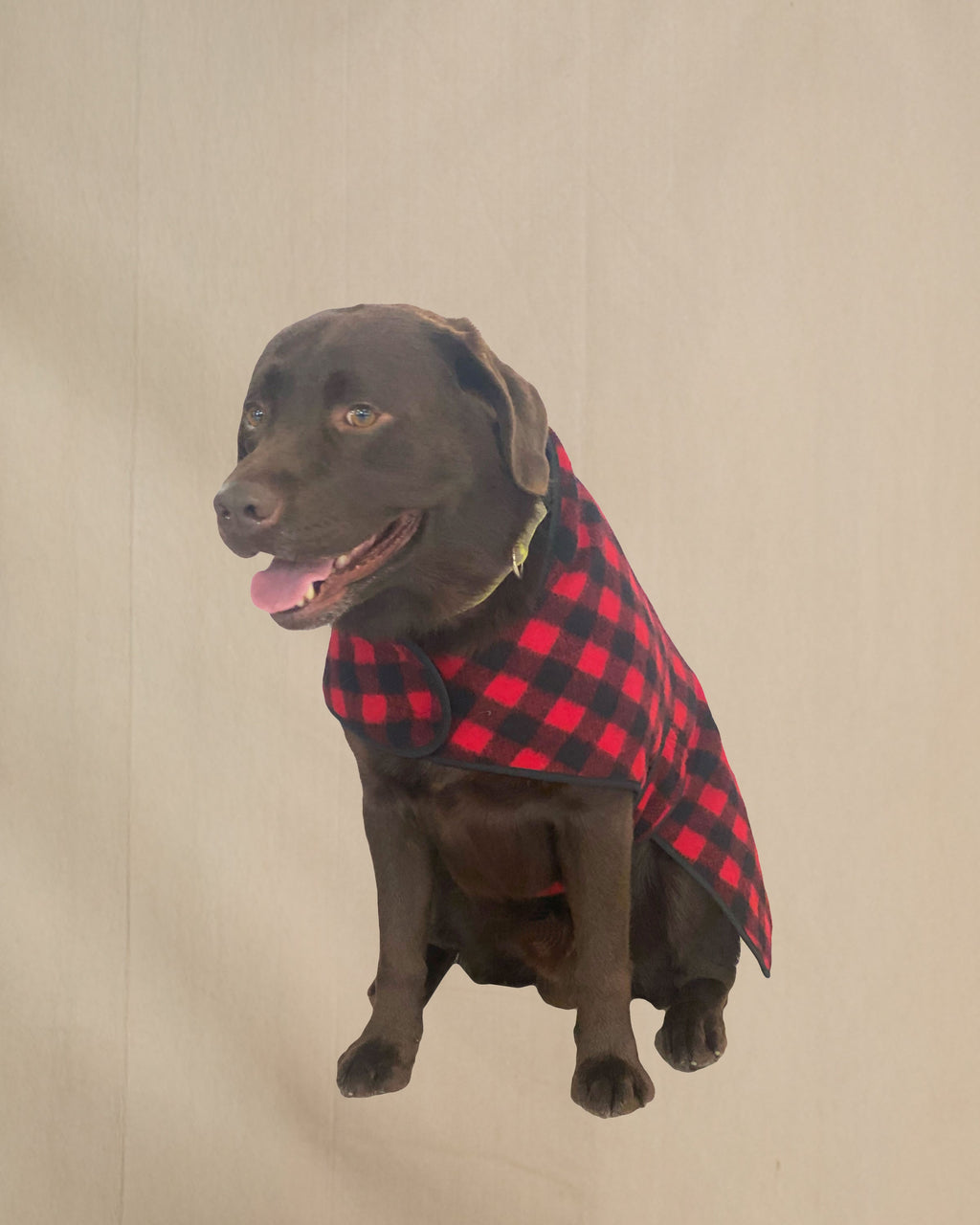 Insulated Wool Dog Coat, 50 - Red Black 1" Buffalo Check / XXS