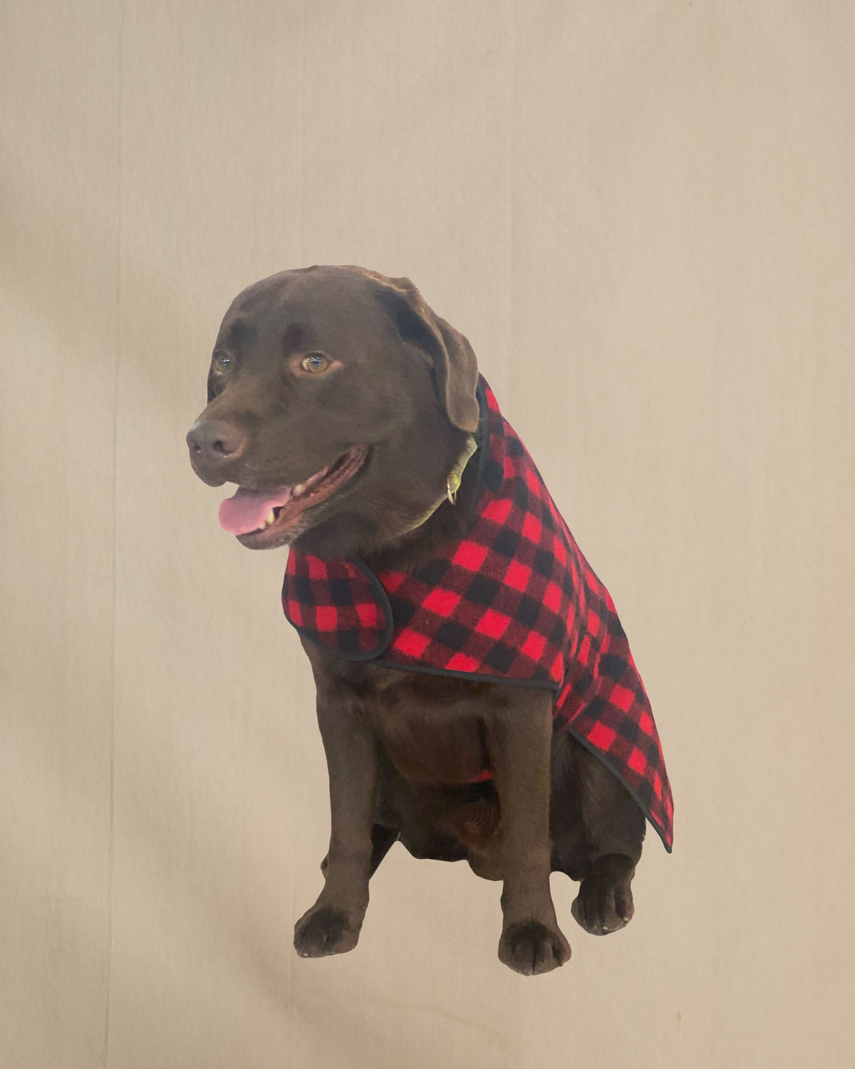 Insulated Wool Dog Coat, 50 - Red Black 1" Buffalo Check / XXS