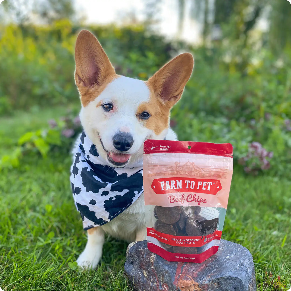Dog standing by a 'Farm to Pet' beef chips package in a grassy outdoor setting