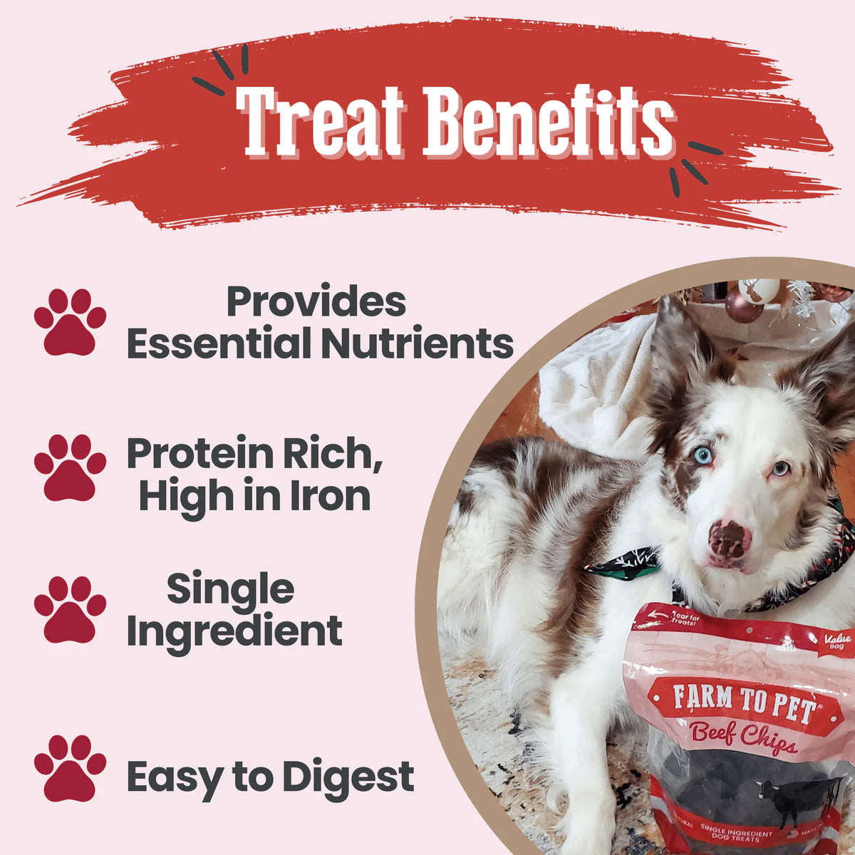 A dog with a package of Farm to Pet beef chips and text about treat benefits on a white background.
