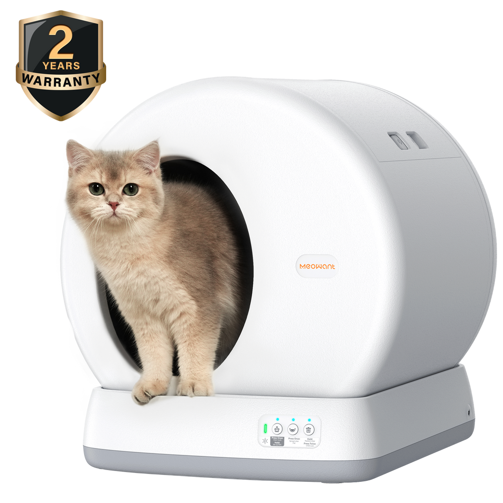 Smart Self Cleaning Cat Litter Box, Gray / Basic