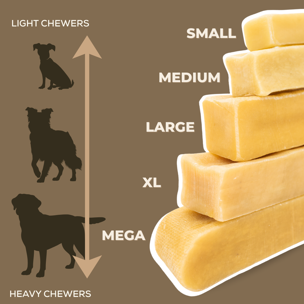 Himalayan Yak Chew Flavor Pack product image 5