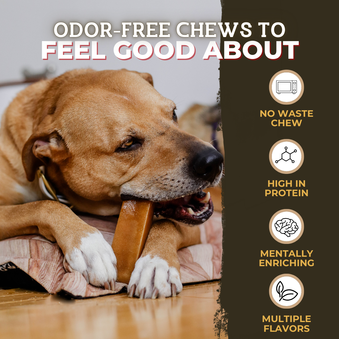 Himalayan Yak Chew Flavor Pack product image 8