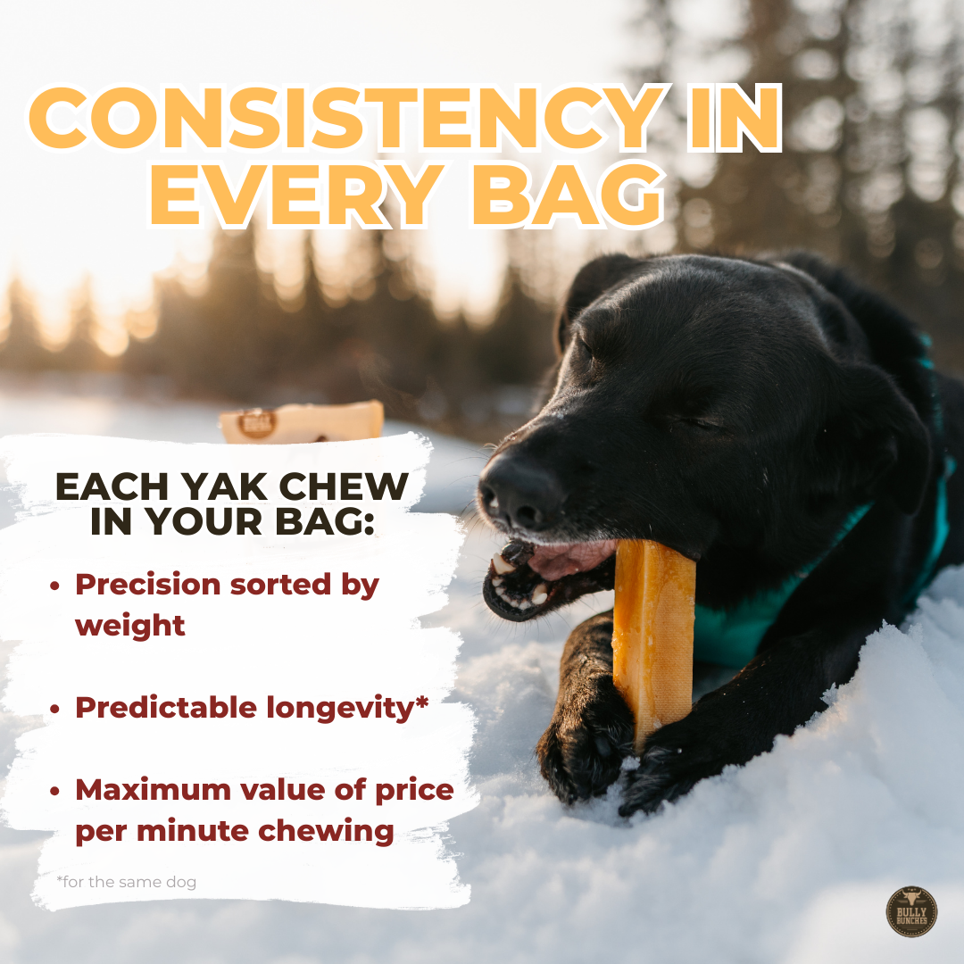 Himalayan Yak Chew Flavor Pack product image 12