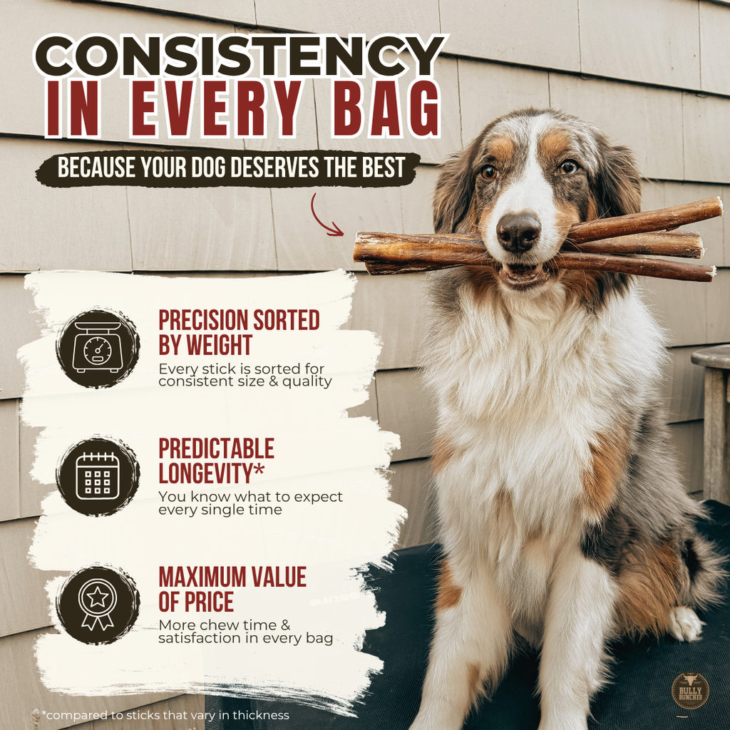 12 Inch Monster Bully Stick Dog Chew product image 7
