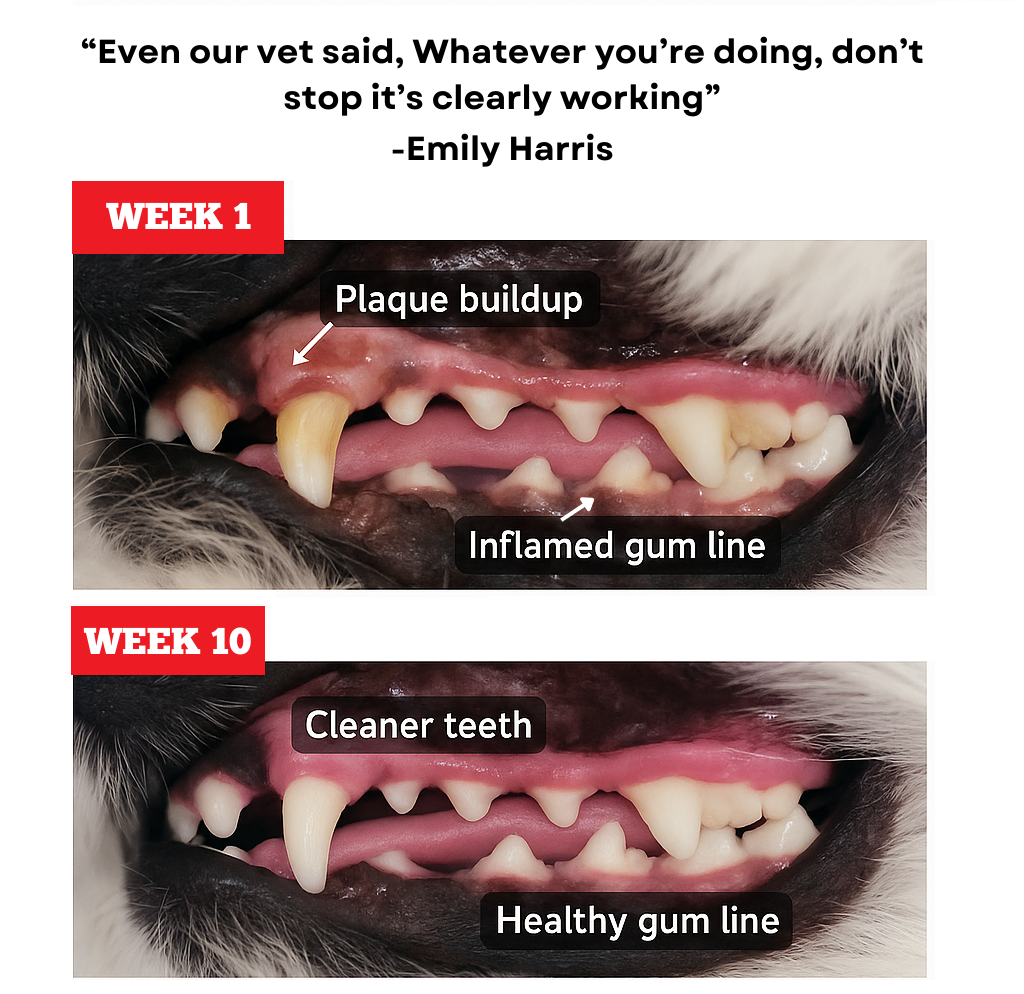 Himalayan Yak Chew (LARGE) product image 5