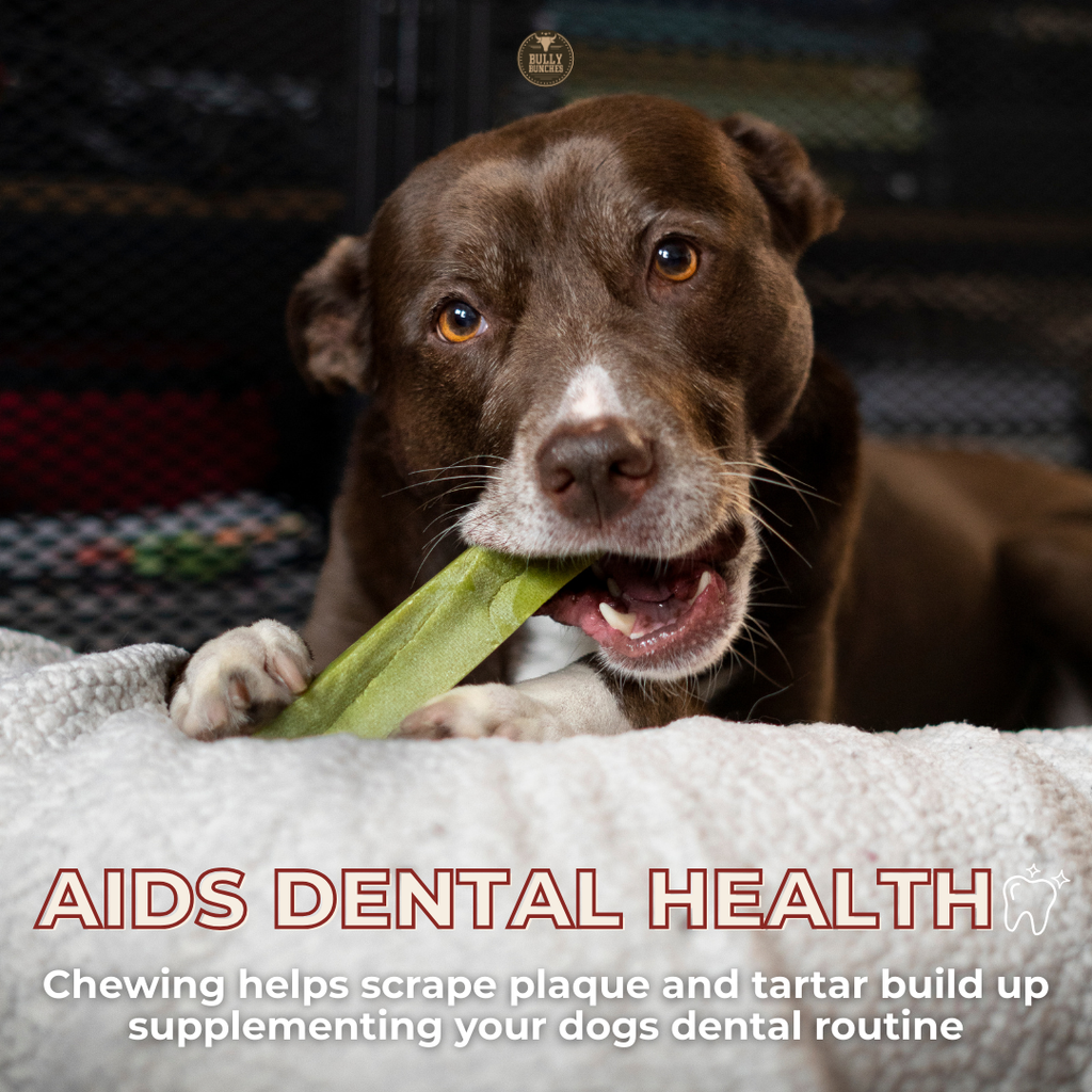 Himalayan Yak Chew (LARGE) product image 8