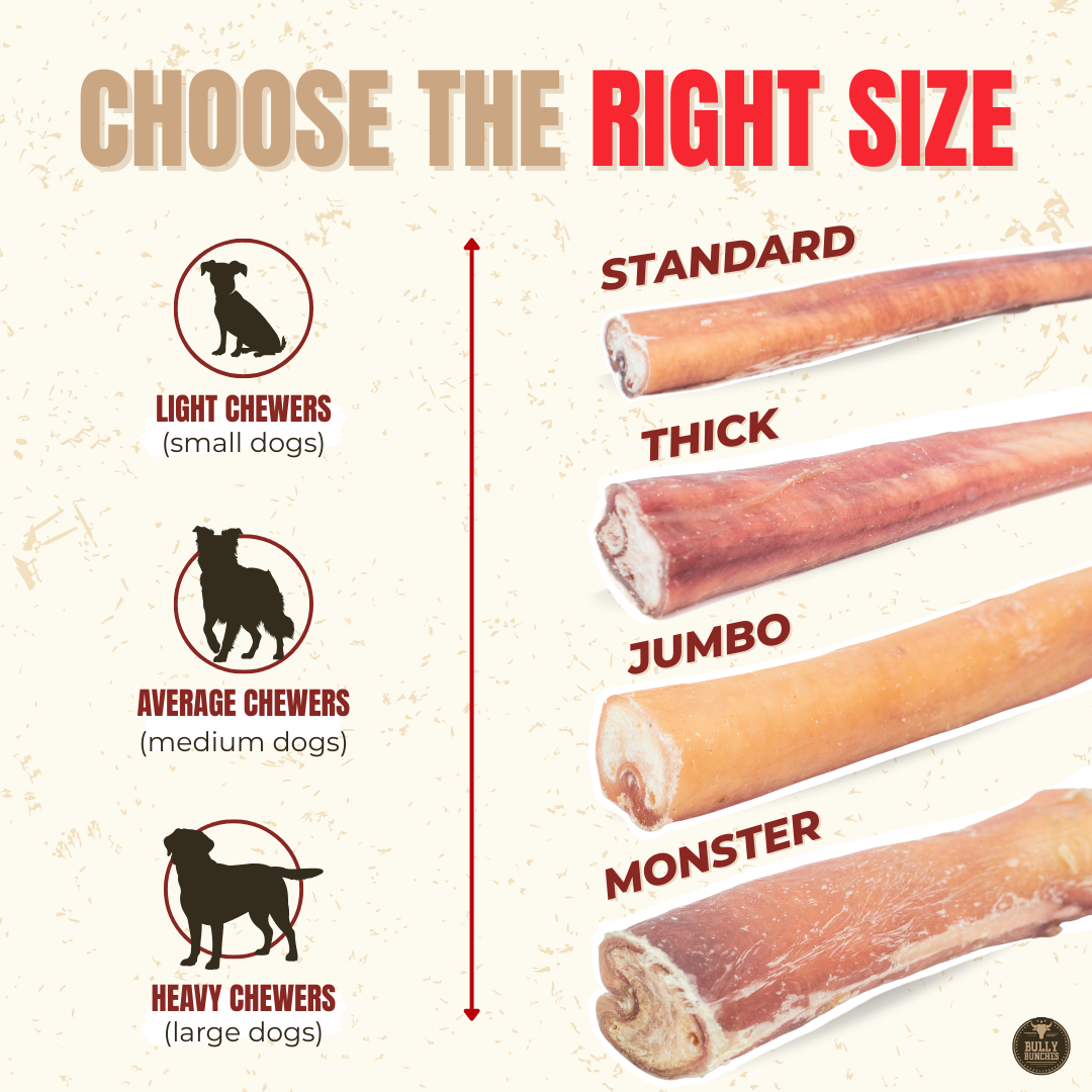 Jumbo Bully Sticks product image 5