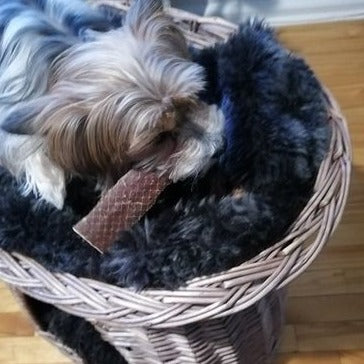 A 6 inch beef jerky strip dog treat from Bully Bunches.