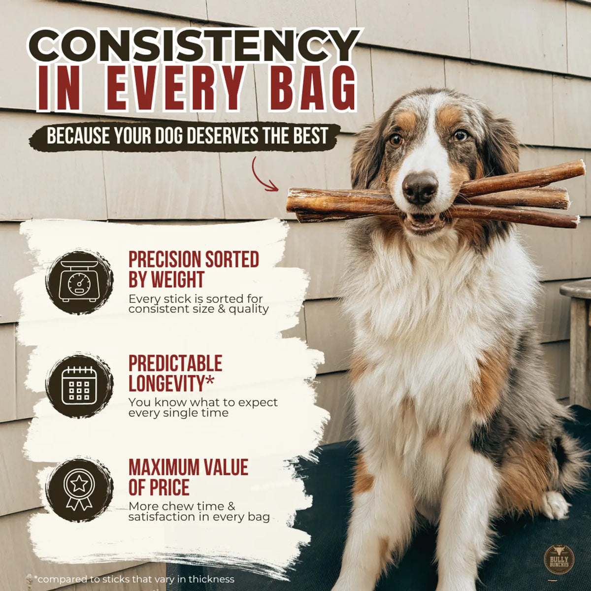 6 Inch Standard Bully Stick product image 7