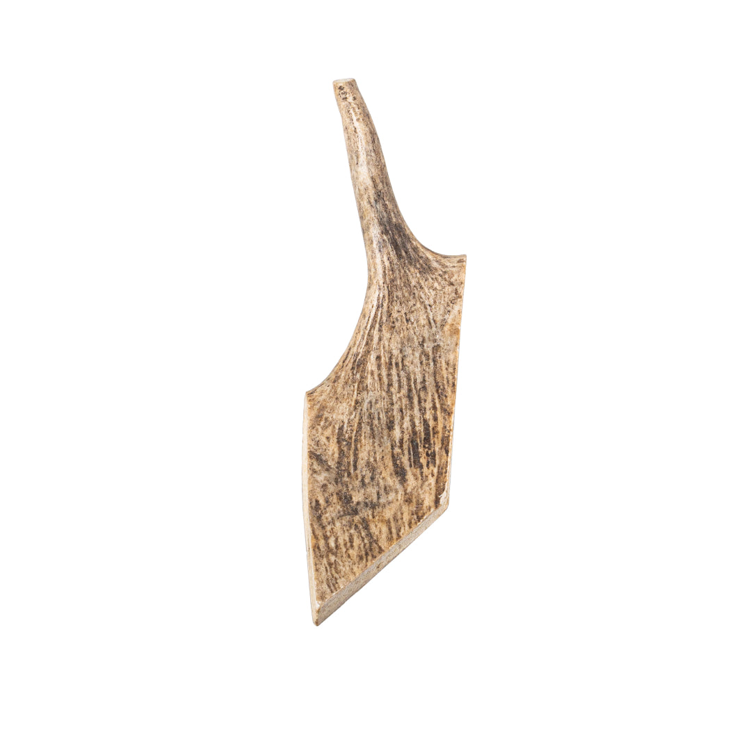 Whole Moose Antler Dog Chews, Medium/Large / Single