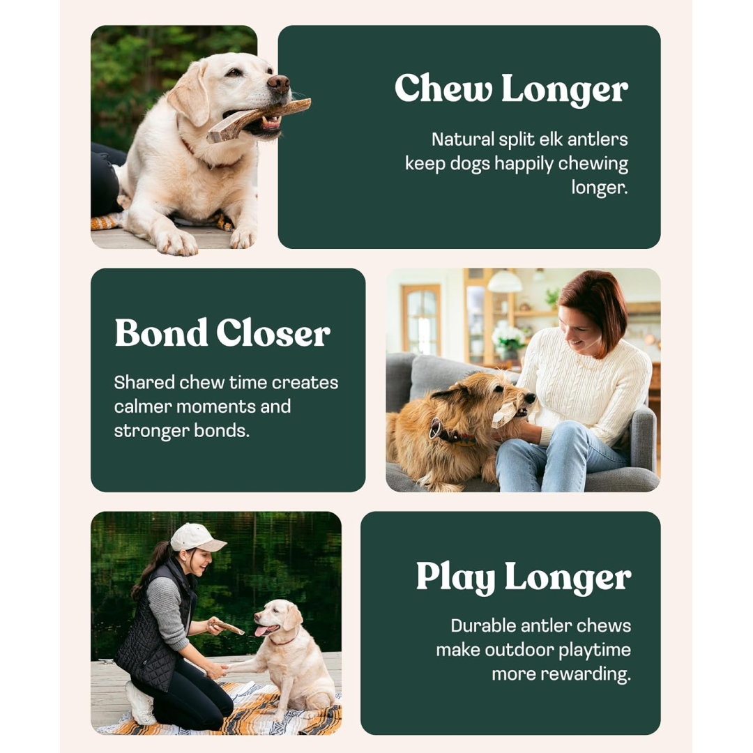 Natural Split Elk Antler Dog Chew product image 4