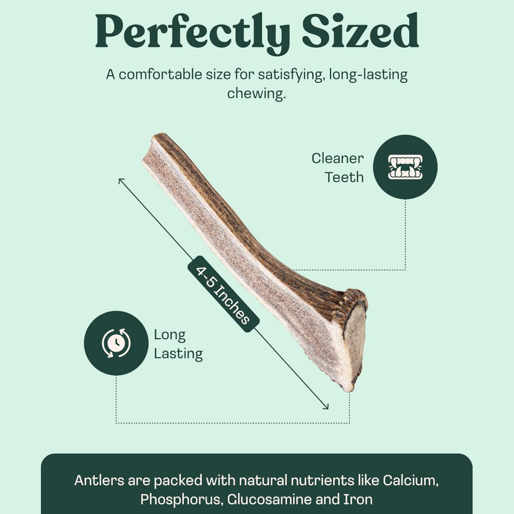 Natural Split Elk Antler Dog Chew product image 15