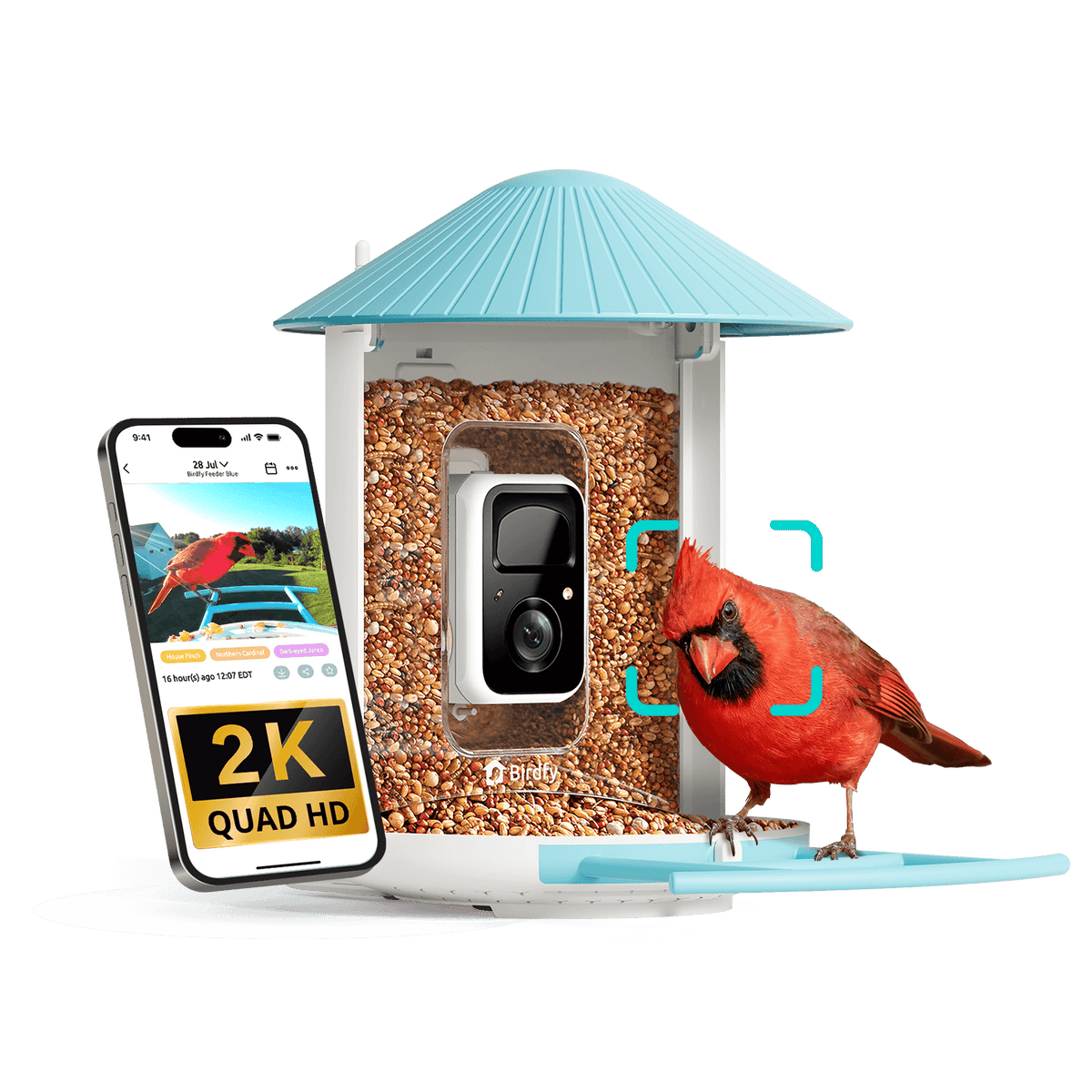 Smart Bird Feeder Camera Standard Kit / AI Lifetime Free