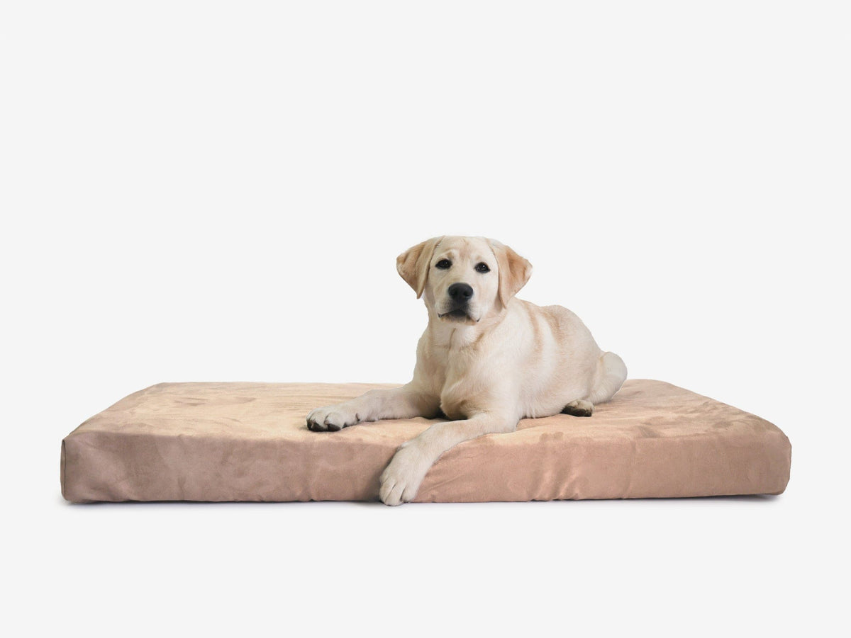 Orthopedic Dog Crate Bed Extra Large - 44.8" X 27" X 4" / Khaki