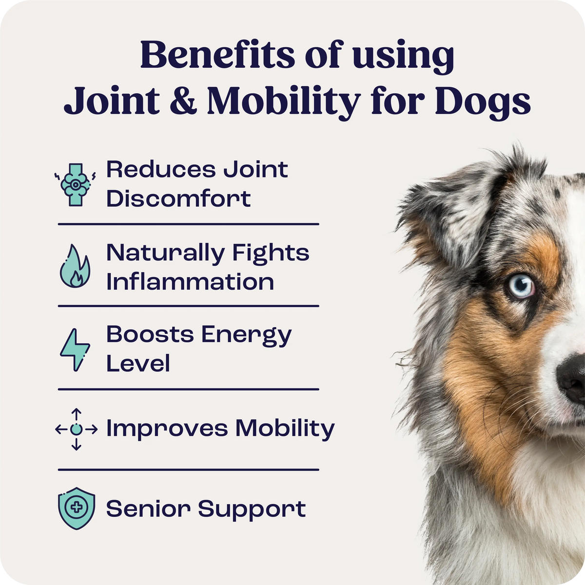 Joint & Mobility Liquid for Medium Dogs