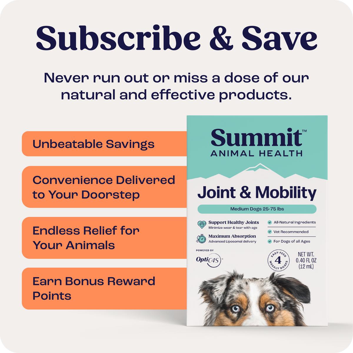 Joint & Mobility Liquid for medium dogs subscription offer with benefits.