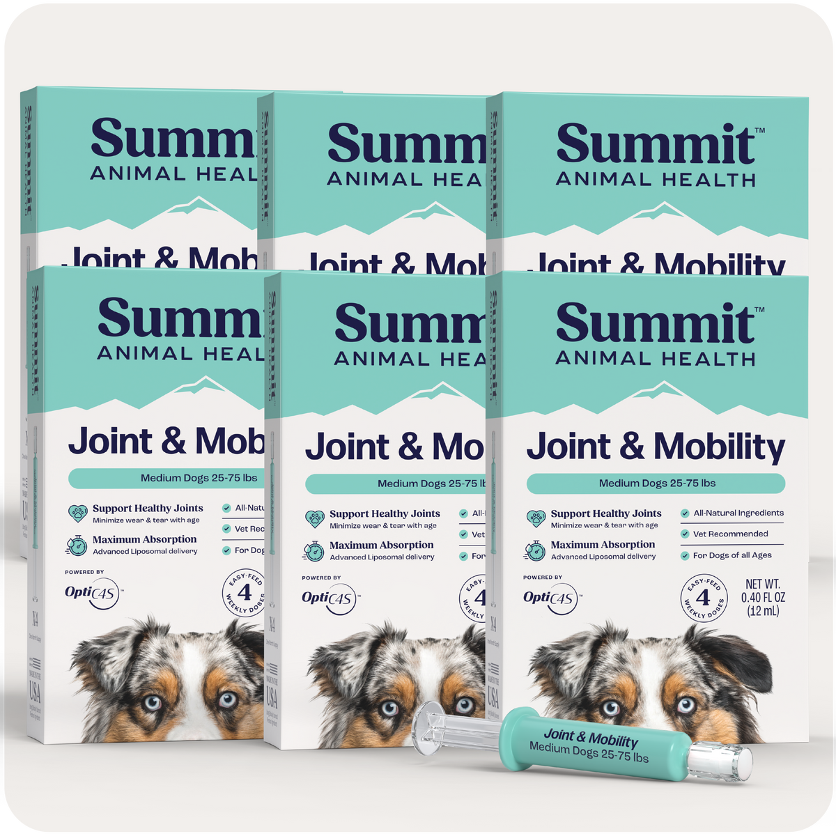 Joint & Mobility Liquid for medium dogs packaging by Summit Animal Health.