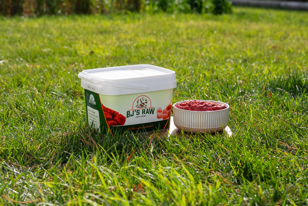 BJ's Beef Blend raw dog food container and serving bowl outdoors