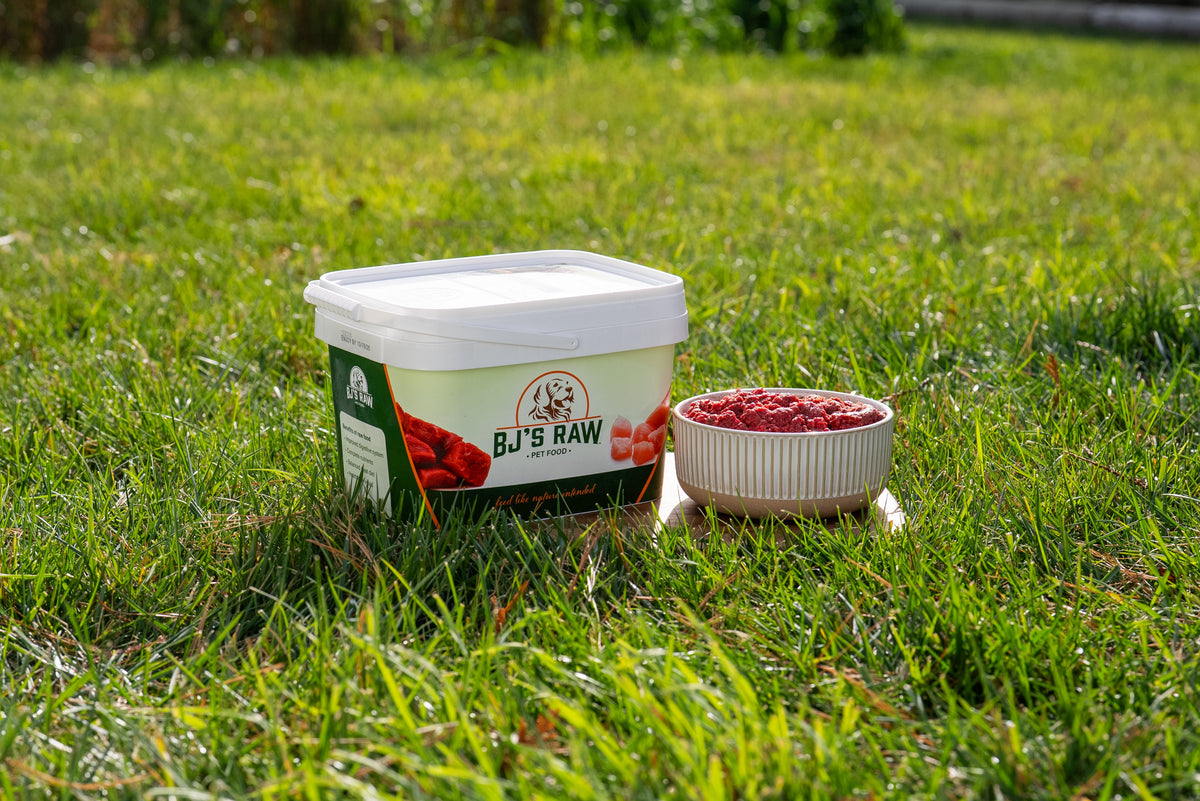 BJ's Beef Blend raw dog food container and serving bowl outdoors