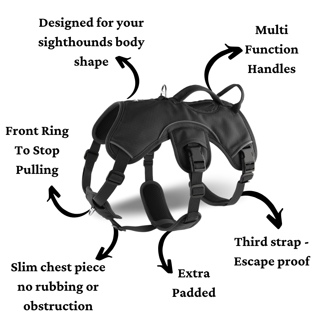 image showing features that make this the best sighthound harness