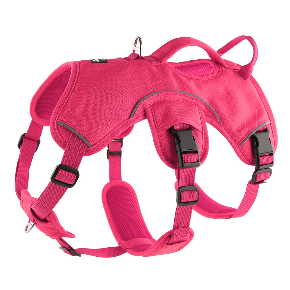 Pink harness for sighthounds and lurchers