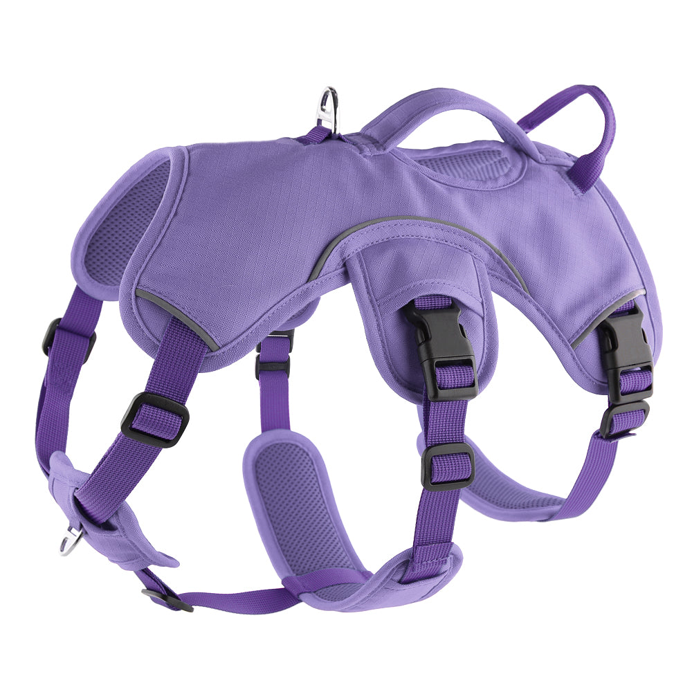 Escape-Resistant Sighthound Harness, XXS (38-48cm) / Purple